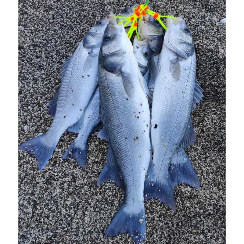 Кукан AS LURES Hookan - 7 hooks 1m