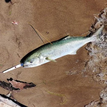 Воблер AS LURES Hydra 210 210mm 29g Floating