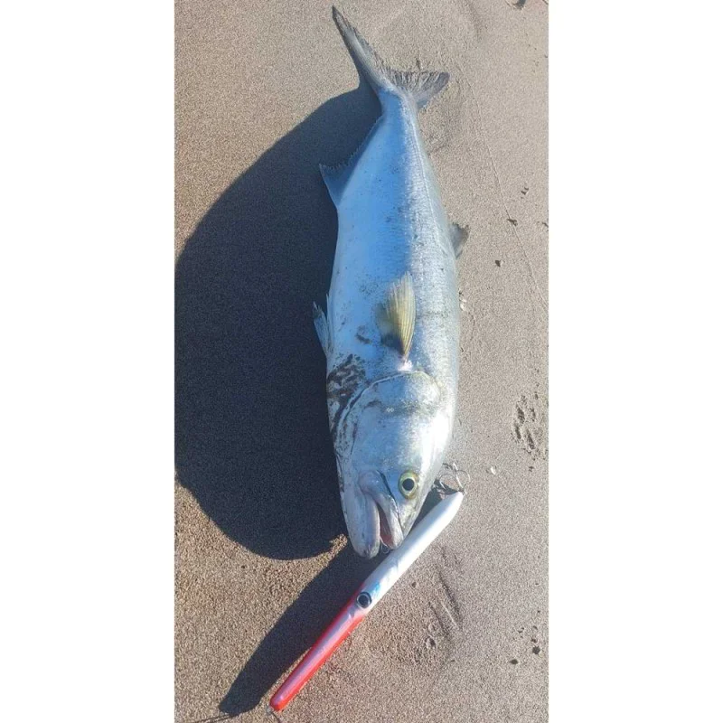 Воблер AS LURES Hydra 210 210mm 29g Floating