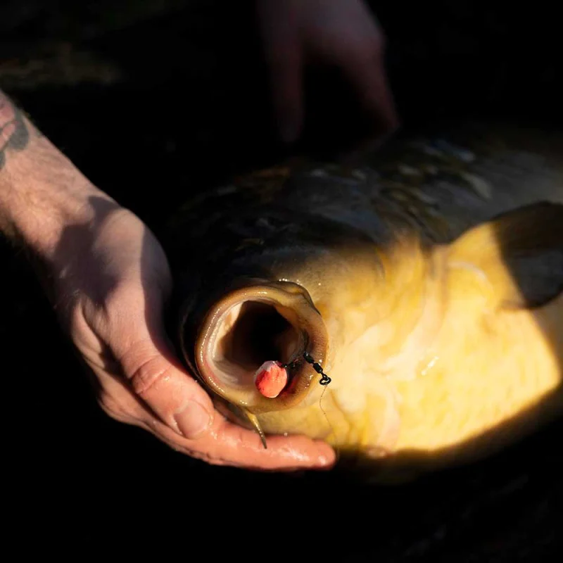 Шаранджийски куки AVID CARP Armorok Hooks Curve Barbed