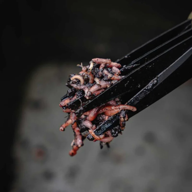 Ножица AVID CARP Worm Choppers