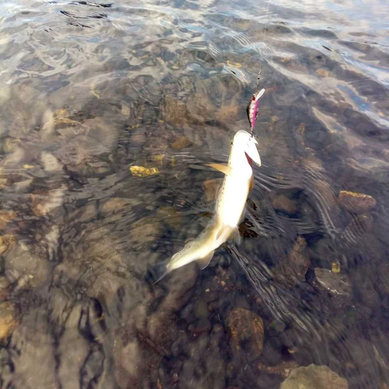 Воблер ALEKSIEV HANDMADE Trout Killer - 4cm 1.7g Sinking