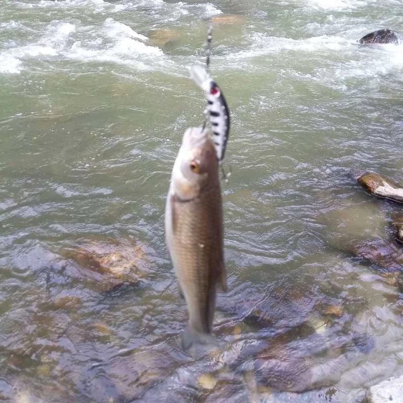 Воблер ALEKSIEV HANDMADE Trout Killer - 4cm 1.7g Sinking