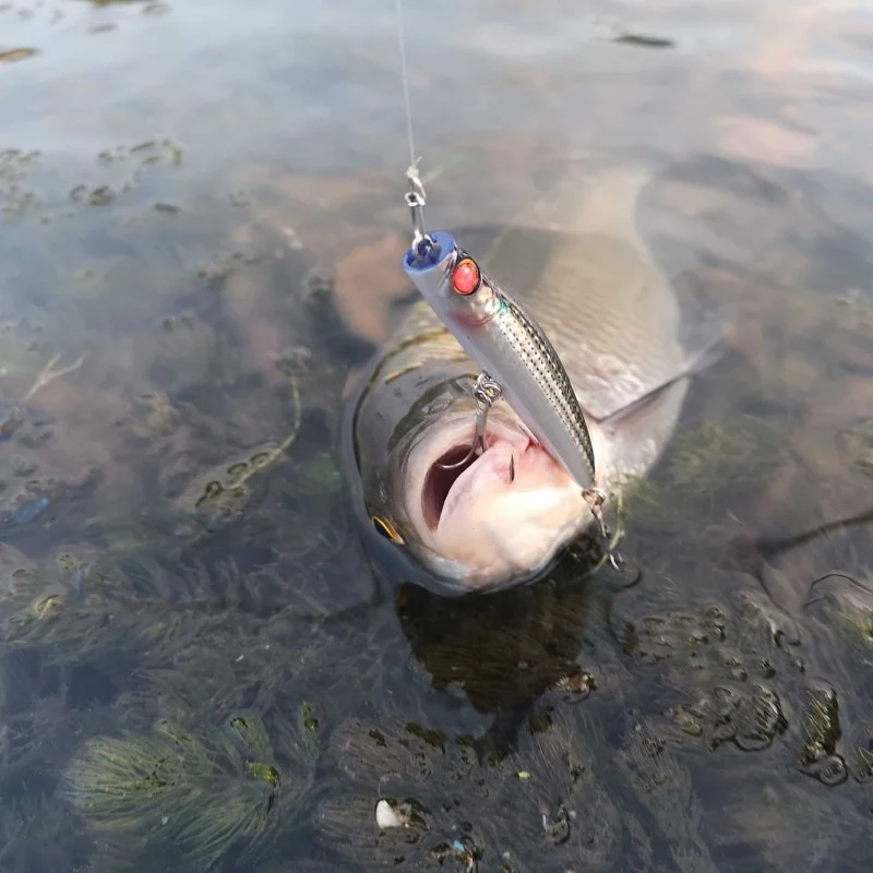 Воблер APIA Punch Line 80 13g