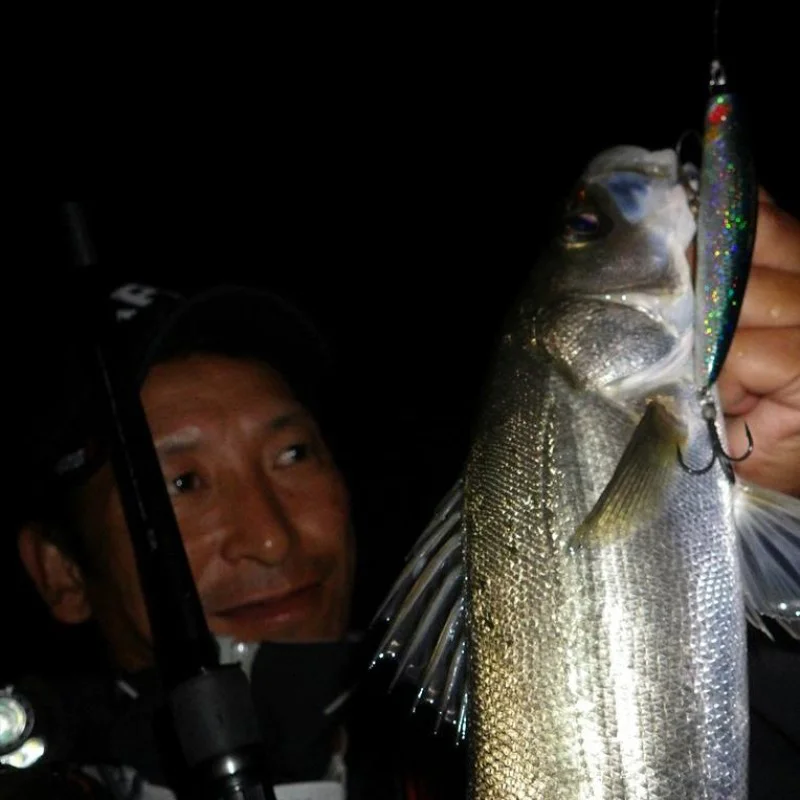 Воблер APIA Punch Line 95 20g