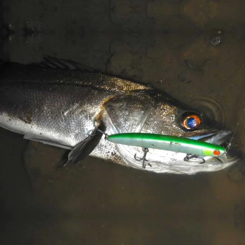 Воблер APIA Lammtarra Badel 130 20g