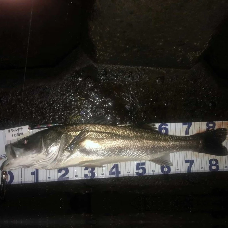 Воблер APIA Lammtarra 130 18g