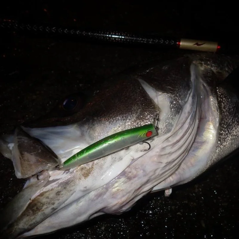 Воблер APIA Punch Line Muscle 80 16g