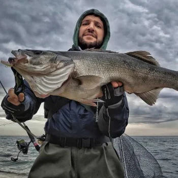 Воблер APIA Punch Line Muscle 80 16g