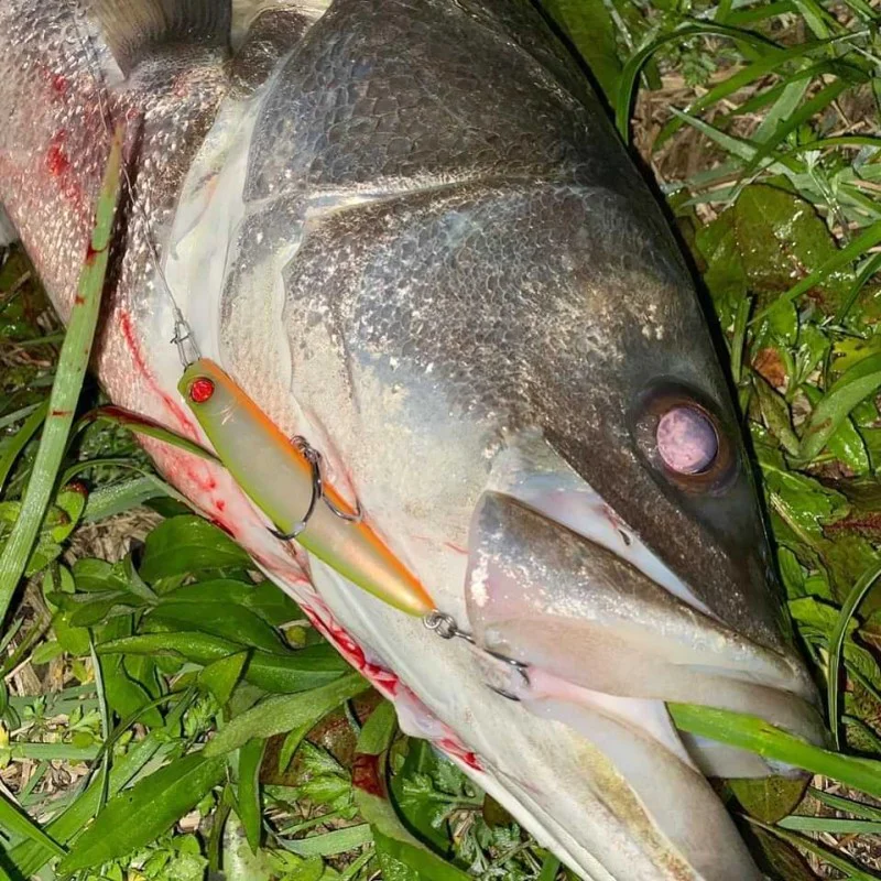 Воблер APIA Punch Line Muscle 80 16g