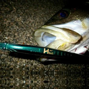 Воблер APIA Hbait 140 14g