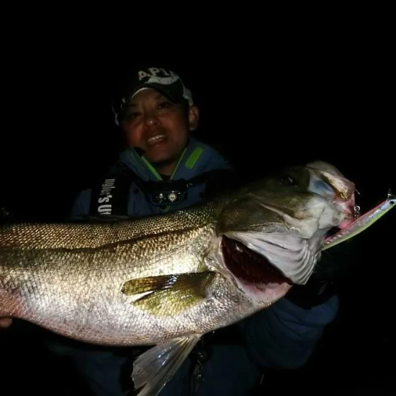 Воблер APIA Hbait 140 14g