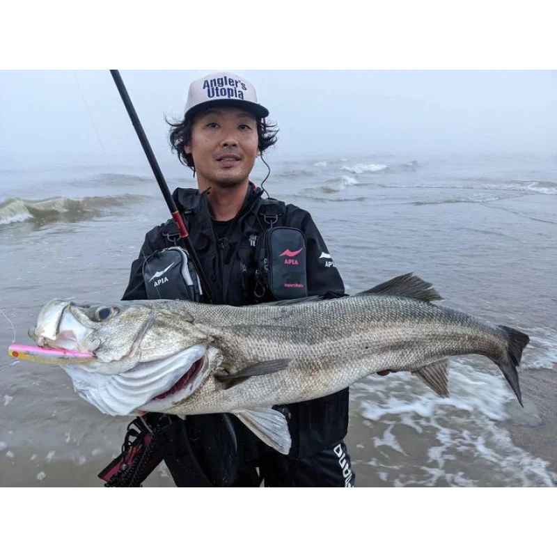 Воблер APIA Punch Line Muscle 95 28g