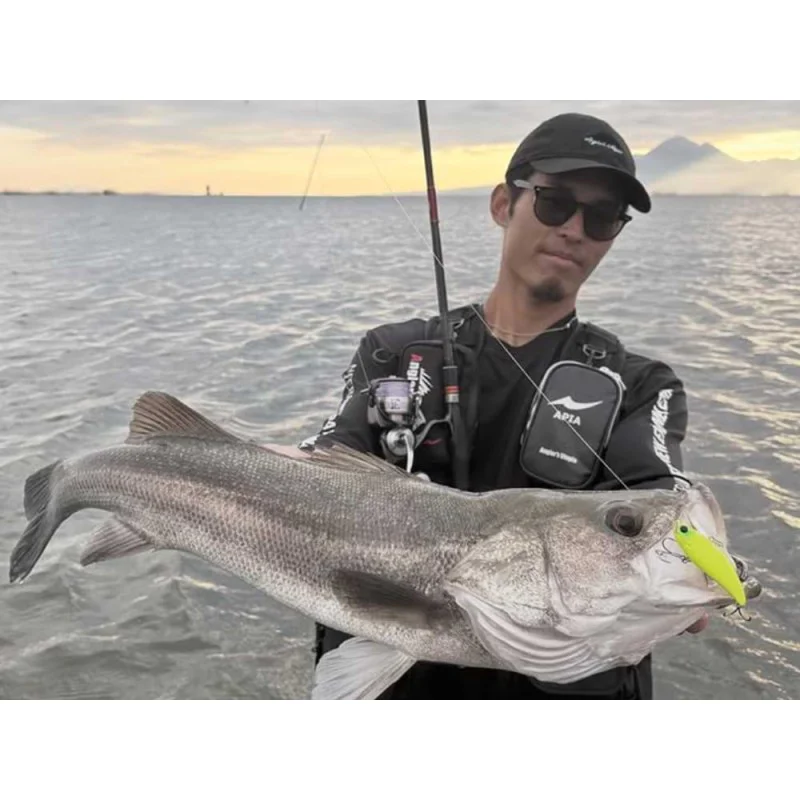 Спининг въдица APIA Foojin Z 6th Generation Flow Hunt S91ML