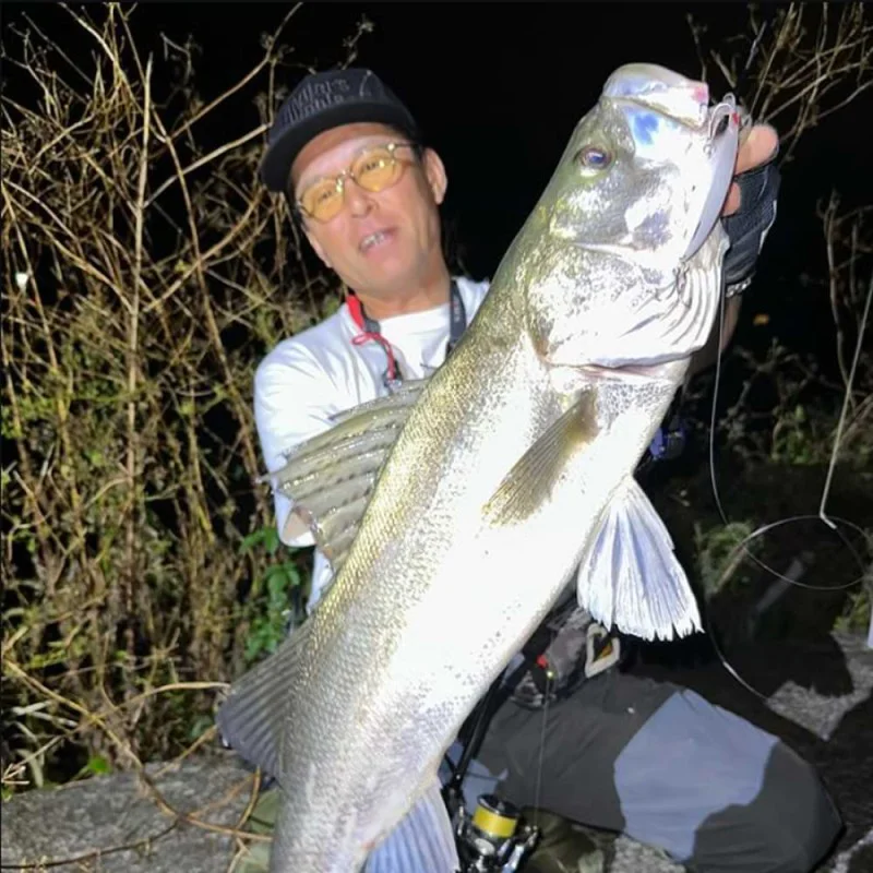 Спининг въдица APIA Foojin Z 6th Generation Eve-Run S86ML