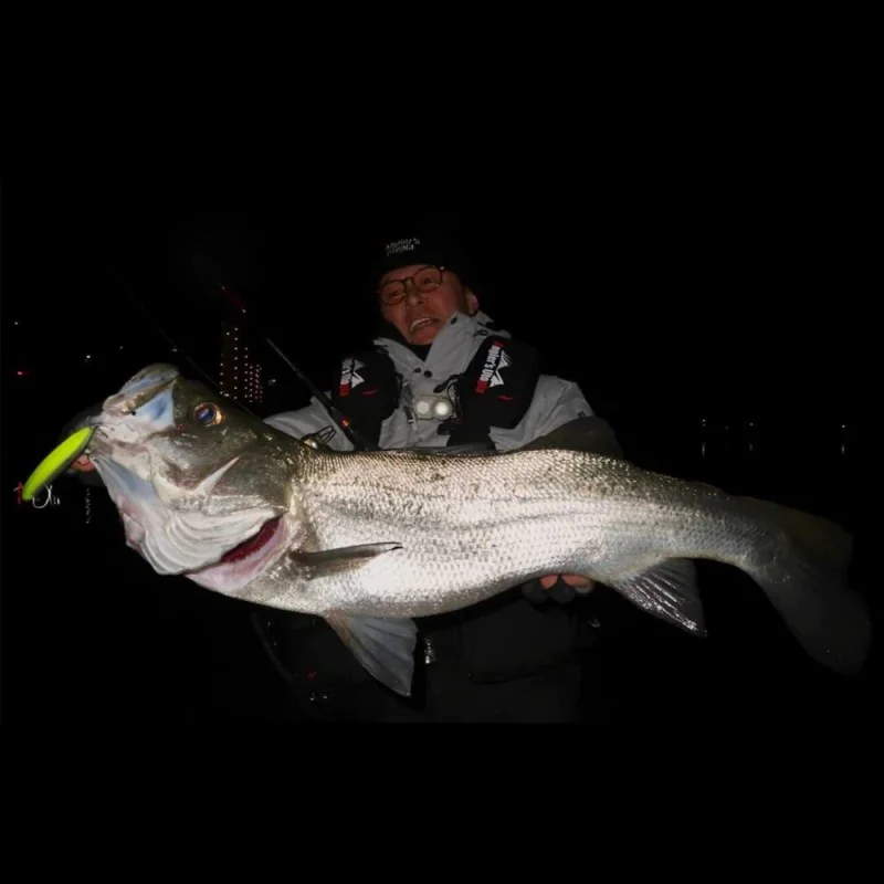 Воблер APIA Lammtarra Badel 130SPL 130mm 25g Suspending