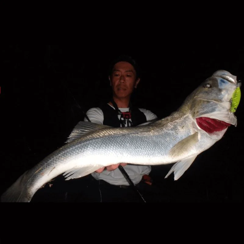 Воблер APIA Punch Line Curvy 70SS 11g