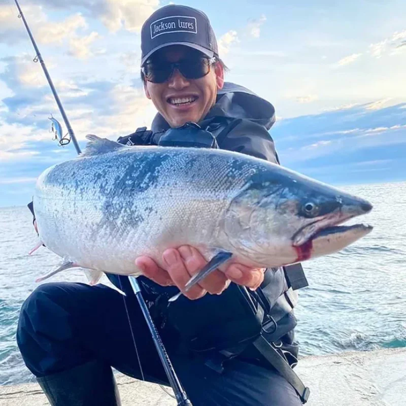 Спининг въдица APIA Grandage Northern Lights S106ML