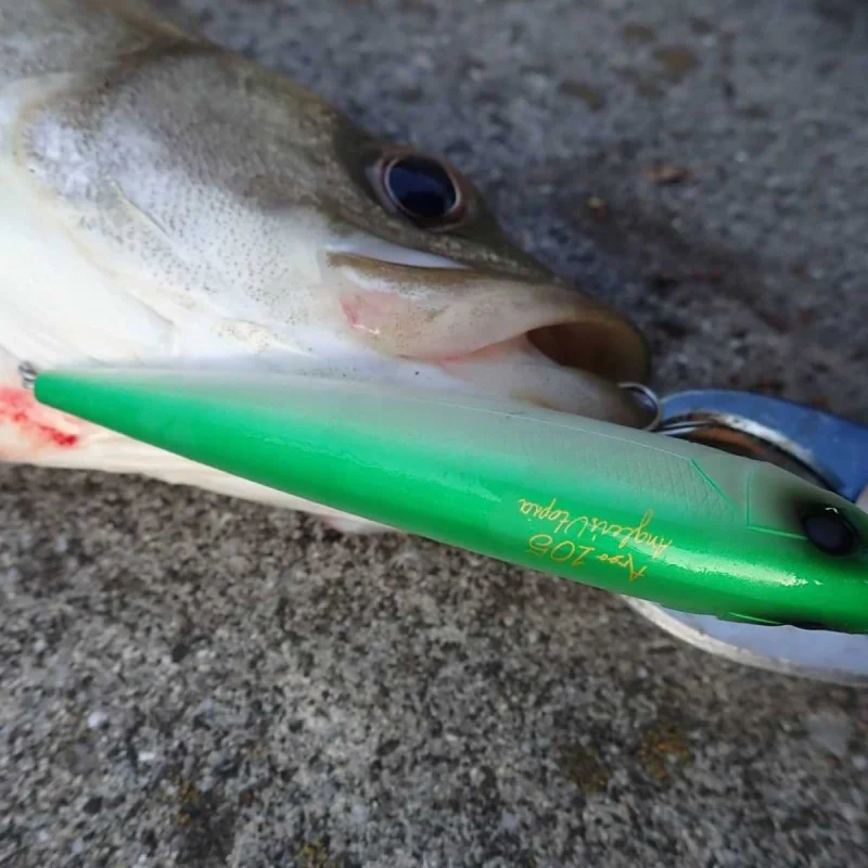 Воблер APIA Argo 105 16g