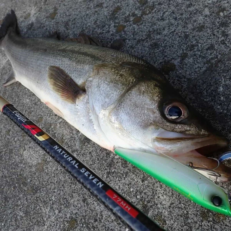 Воблер APIA Argo 105 16g