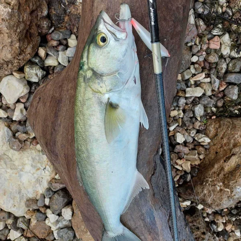 Воблер APIA Argo 105 16g