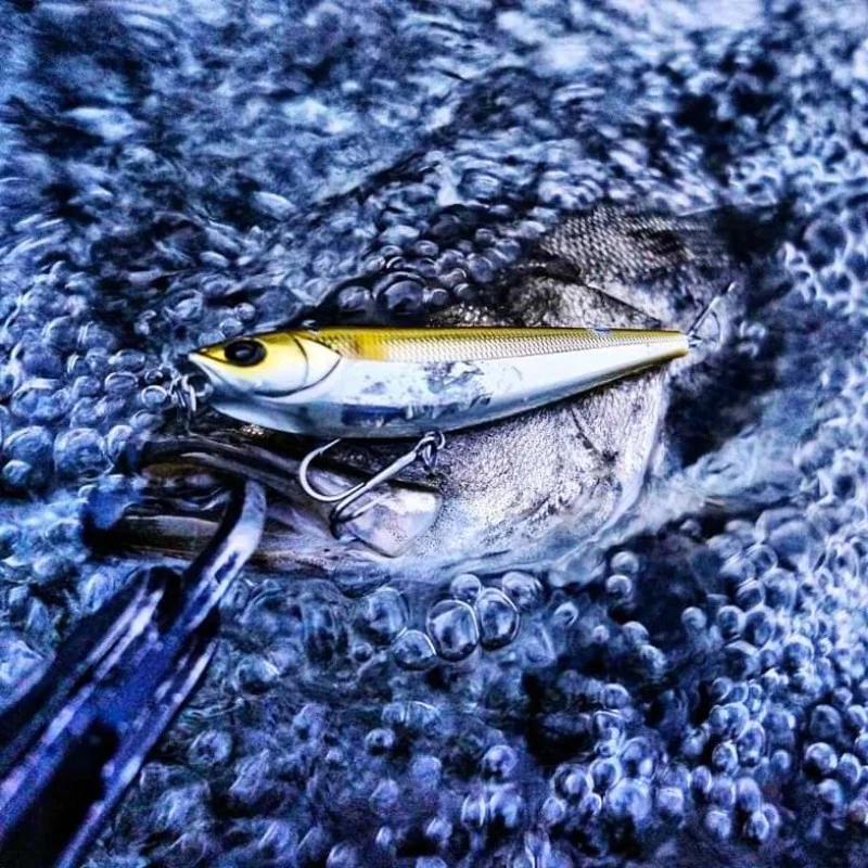 Воблер APIA Argo 105 16g