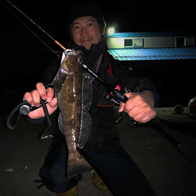 Спининг въдица APIA Brute HR - Harbor Sweeper - 77ML