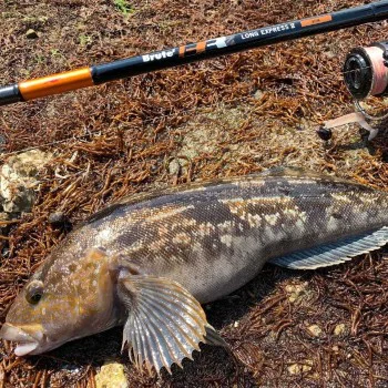 Спининг въдица APIA Brute HR - Long Express II - 90M