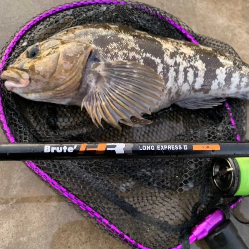 Спининг въдица APIA Brute HR - Long Express II - 90M