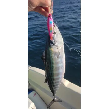 Воблер APIA Mayol 80S 15g