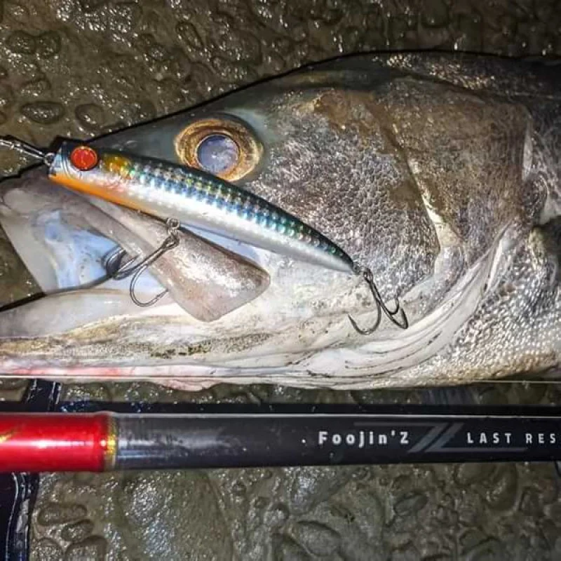 Спининг въдица APIA Foojin Z Last Resort 90H