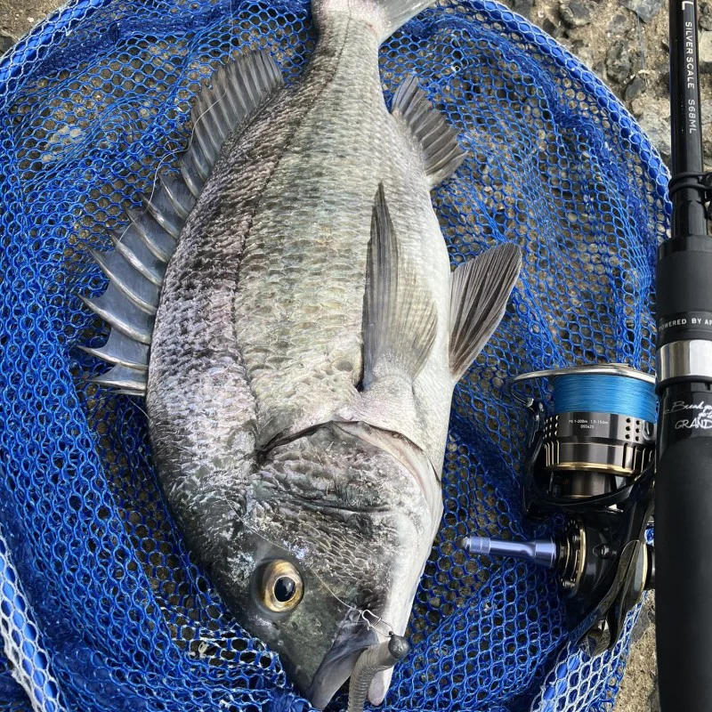 Спининг въдица APIA Grandage Naval Silver Scale S68ML