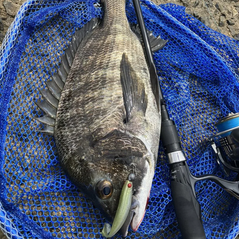 Спининг въдица APIA Grandage Naval Silver Scale S68ML