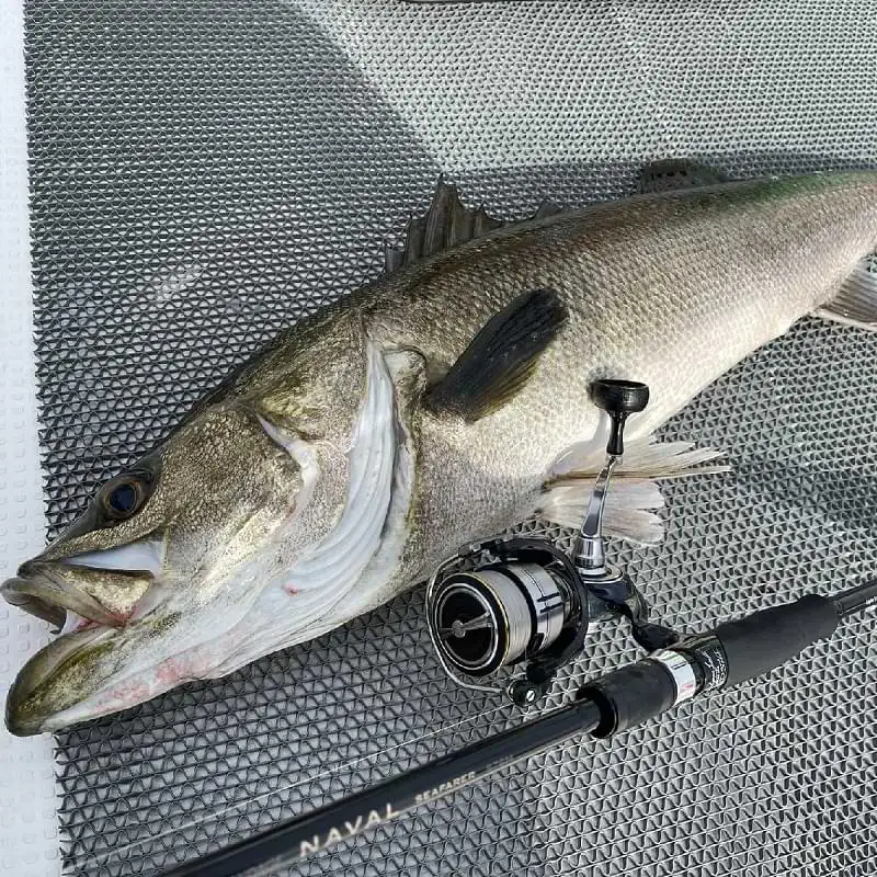 Спининг въдица APIA Grandage Naval Seafarer S76M