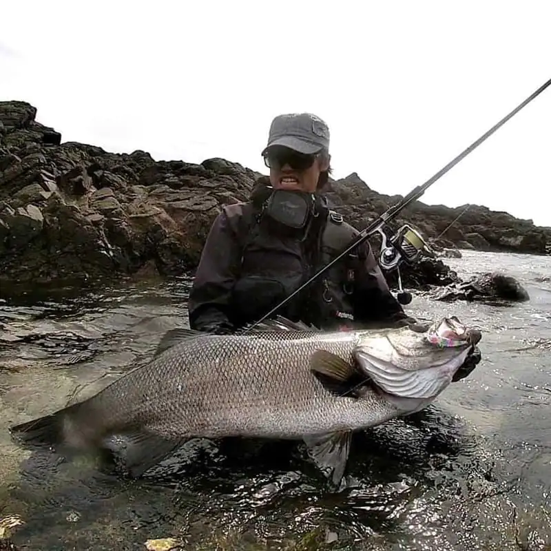 Спининг въдица APIA Grandage Atlas Blackfin 102HH