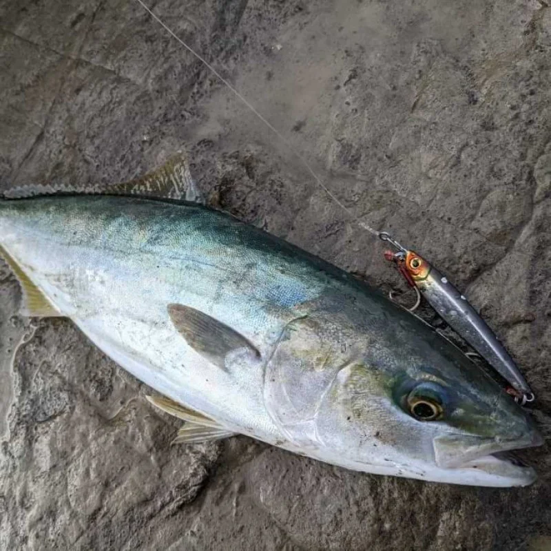 Спининг въдица APIA Grandage Atlas Blue Runner 100MH