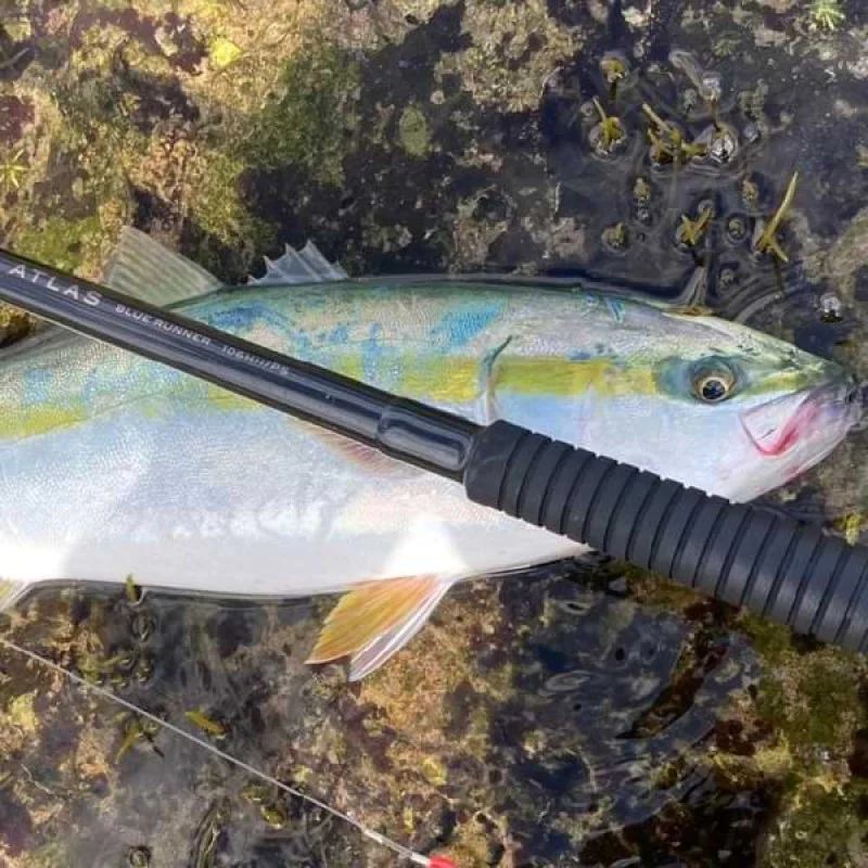 Спининг въдица APIA Grandage Atlas Blue Runner 106HH-PS