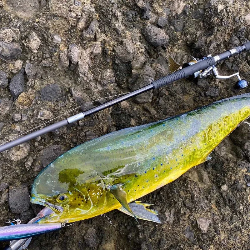 Спининг въдица APIA Grandage Atlas Blue Runner 105HHH-PS