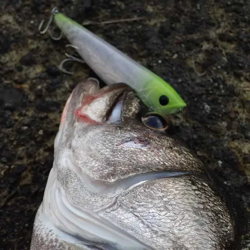 Воблер APIA Argo 160 48g