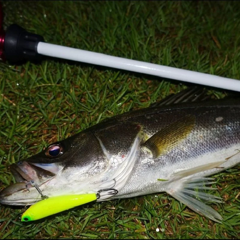 Воблер APIA Argo 69 8.5g