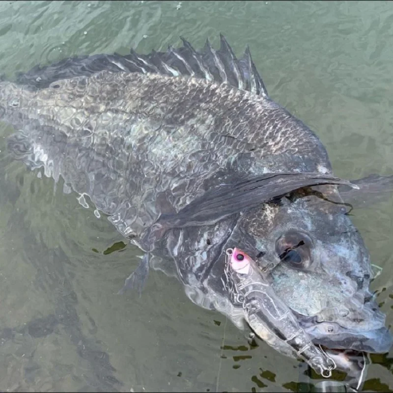 Воблер APIA Argo 69 8.5g