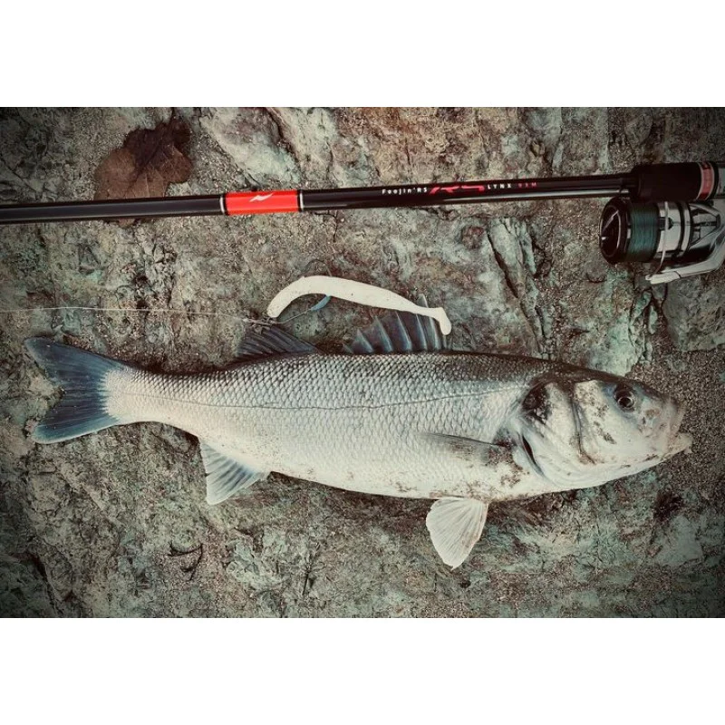 Спининг въдица APIA Foojin RS Lynx 93M