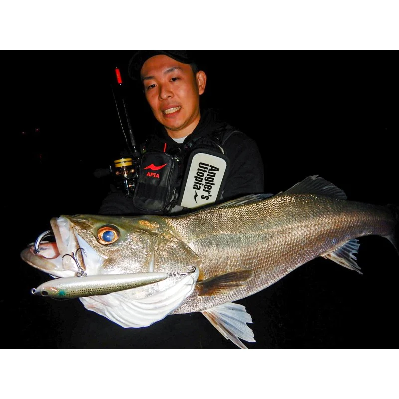 Спининг въдица APIA Foojin RS Desire 95MH