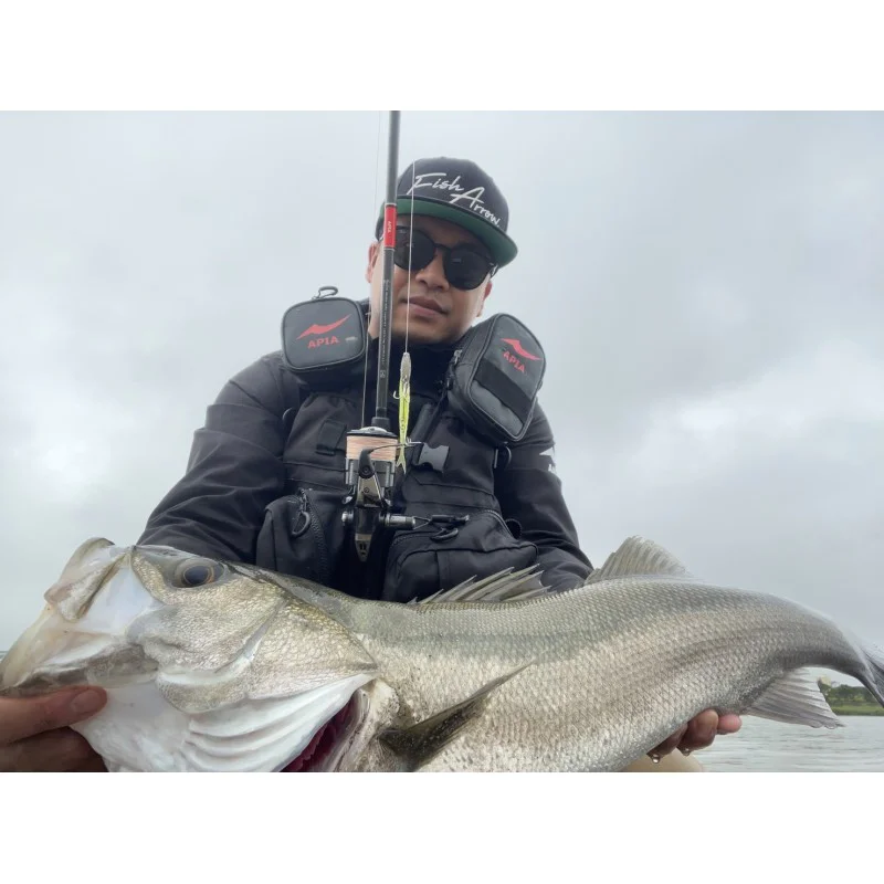 Спининг въдица APIA Foojin RS Desire 95MH