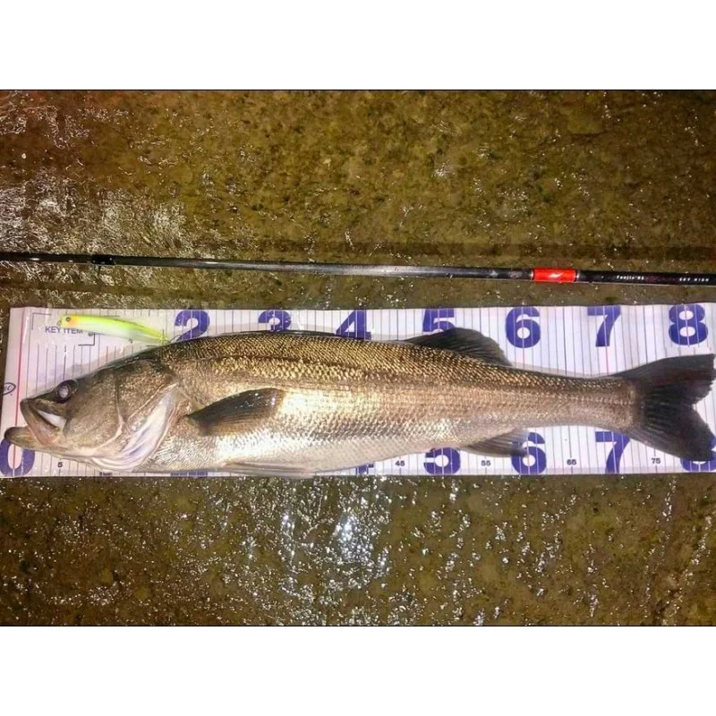 Спининг въдица APIA Foojin RS Sky High 99M