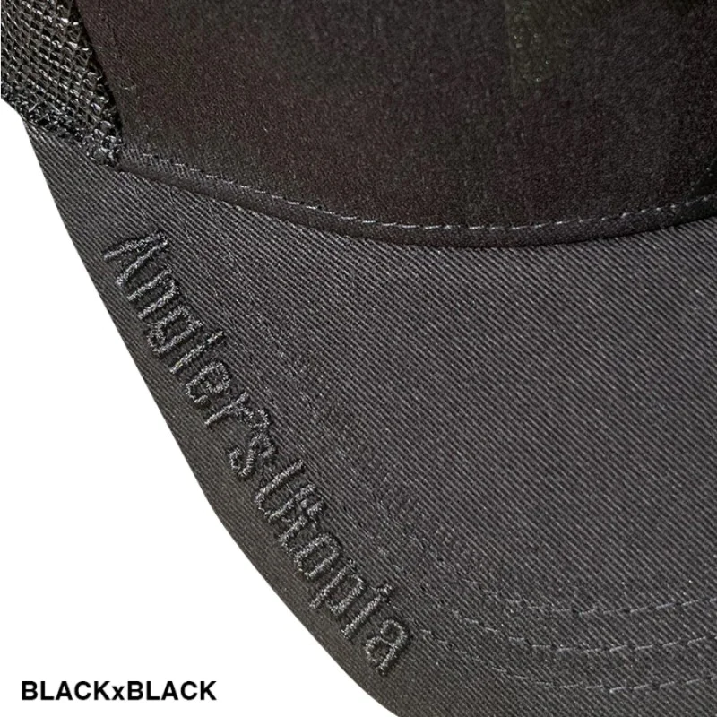 Шапка APIA Pro Cap New 2024