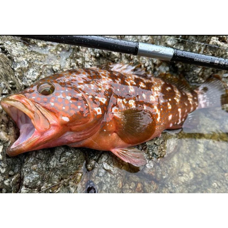 Спининг въдица APIA Grandage Brute Bull Chaser S96H