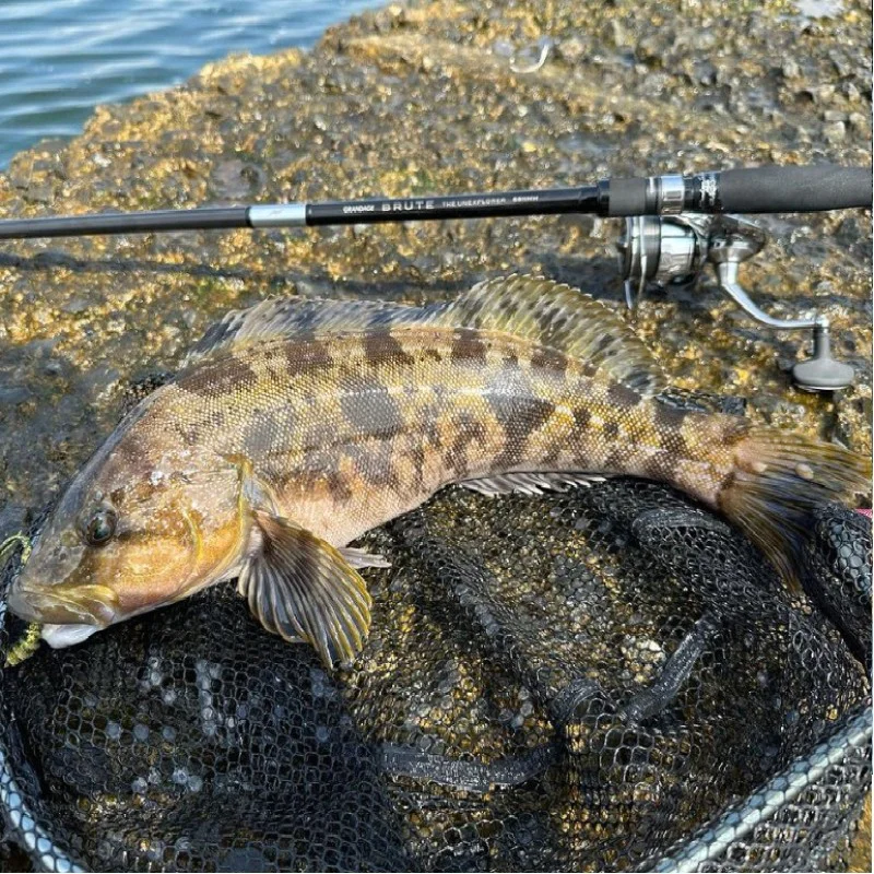 Спининг въдица APIA Grandage Brute The Unexplorer S911MH