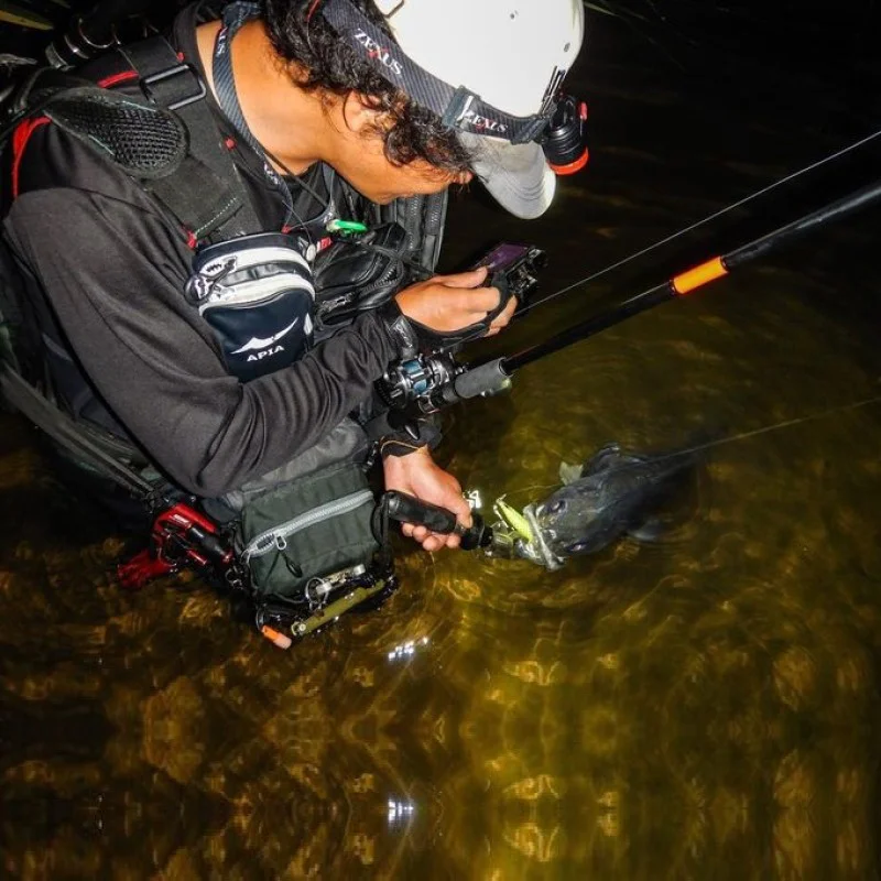 Воблер APIA Ailed'ore 115F 18g Floating NEW 2023 color