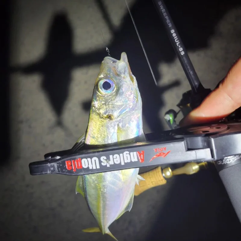 Спининг въдица APIA Grandage Legacy Sweeper S61UL-SS